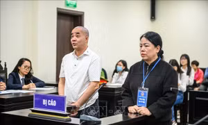 Phạt tù hai bị cáo trong vụ chuyển nhượng 'đất vàng' tại phố Bà Triệu, Hà Nội