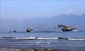 Lễ hội Cầu ngư: Nét đẹp văn hóa, tín ngưỡng của cư dân biển miền Trung