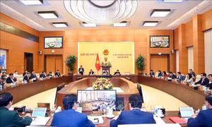 Uỷ ban Thường vụ Quốc hội cho ý kiến về dự thảo Luật Đất đai (sửa đổi)