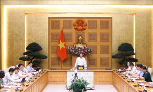 Chủ động ứng phó với biến đổi khí hậu, quản lý tài nguyên, bảo vệ môi trường