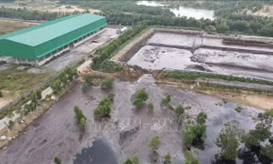 Bà Rịa-Vũng Tàu: Hai lần vỡ đê bao bãi chôn lấp rác thải và hồ chứa nước thải