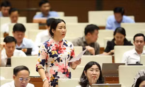 Quy định rõ thủ tục rút gọn giải quyết vụ án dân sự về bảo vệ quyền lợi người tiêu dùng
