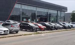 Nhiều mẫu xe có nguy cơ dừng bán nếu không đáp ứng tiêu chuẩn tiêu thụ nhiên liệu mới
