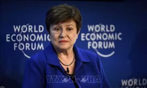 IMF cảnh báo chính sách trợ cấp chống biến đổi khí hậu của phương Tây lợi bất cập hại