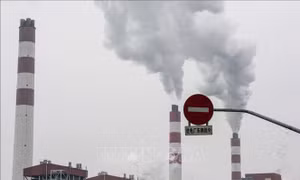 Đặc phái viên LHQ: COP27 là cơ hội tốt để thúc đẩy hành động khí hậu
