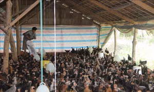 Người chăn nuôi có lãi nhờ giá thịt gia cầm tăng