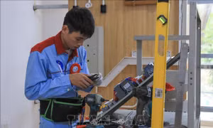Lần đầu tiên Hà Nội có thí sinh đạt điểm tuyệt đối kỹ năng nghề