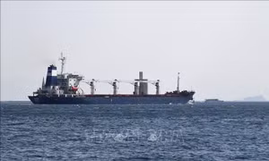 Thêm 4 tàu chở lương thực rời Ukraine