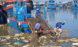 Phản hồi thông tin: Ninh Thuận khẩn trương xử lý các 'điểm đen' về rác thải