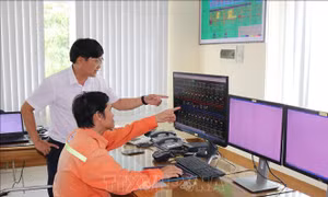 Ninh Thuận: Kiểm tra an toàn hệ thống truyền tải điện quốc gia