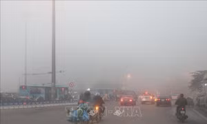 Bắc Bộ sáng sớm có sương mù, trưa chiều trời nắng