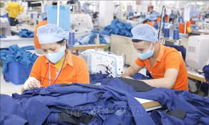 Công bố kết quả nghiên cứu về 'Hoàn thiện nền kinh tế thị trường ở Việt Nam'