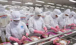 Quyết liệt tháo gỡ khó khăn, thúc đẩy sản xuất, xuất khẩu lâm sản và thuỷ sản