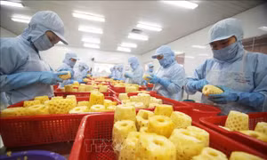 EU siết tiêu chuẩn an toàn thực phẩm: Nông sản Việt trước áp lực tuân thủ toàn diện