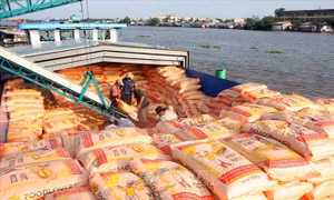 Bệ phóng cho sức cạnh tranh của doanh nghiệp