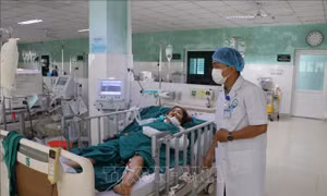 Vụ tai nạn trên đèo Lò Xo: Tập trung cứu chữa các nạn nhân