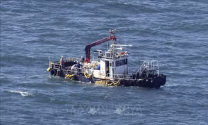 Không phát hiện tritium trong cá sau 1 tháng xả thải từ nhà máy Fukushima