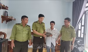 Người dân bàn giao tê tê cho kiểm lâm