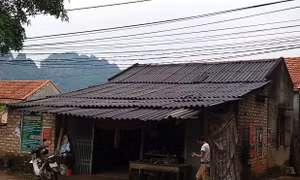 Sớm loại bỏ amiăng trắng gây hại cho sức khỏe cộng đồng