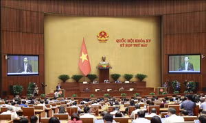 Đảm bảo cho 'cánh tay nối dài của an ninh cơ sở' phát huy hiệu quả