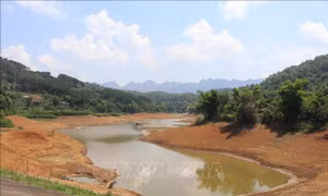 Hồ chứa ở Cao Bằng có nguy cơ cạn kiệt do thời tiết khô hạn