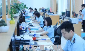 Xử lý kỷ luật cán bộ hải quan Hải Phòng về hành vi tiêu cực trong thực thi công vụ
