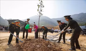 Lực lượng vũ trang Quân khu 3 phấn đấu trồng 198 nghìn cây xanh và 30 ha rừng năm 2024