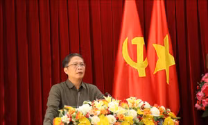 Cần chỉ rõ nguyên nhân độ che phủ rừng của Đắk Lắk thấp 
