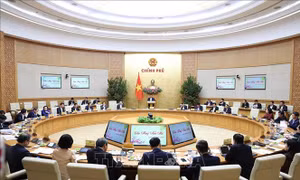 Thủ tướng: Tết Giáp Thìn 2024 được tổ chức vui tươi, an toàn, tiết kiệm và nghĩa tình