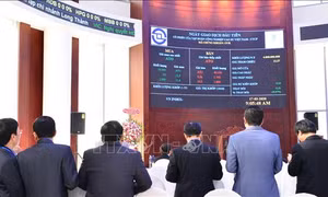 20 năm thị trường chứng khoán Việt Nam: Nâng cao năng lực cho doanh nghiệp