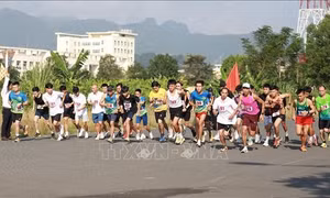 Hơn 2.200 người thi chạy địa hình đường mòn ở Mai Châu (Hòa Bình)