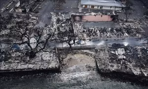 Mỹ: Thảm họa cháy rừng ở Hawaii khiến ít nhất 67 người thiệt mạng