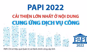 PAPI 2022: Cải thiện lớn nhất ở nội dung Cung ứng dịch vụ công