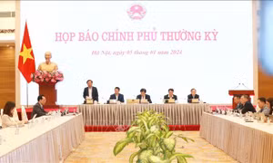 Đẩy mạnh các động lực tăng trưởng truyền thống, chuyển đổi xanh