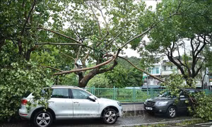 Trung Quốc duy trì ứng phó bão lũ khẩn cấp ở nhiều tỉnh miền Nam