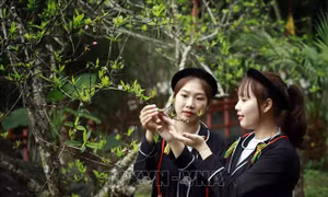 Nét đẹp trang phục truyền thống của phụ nữ dân tộc Sán Dìu