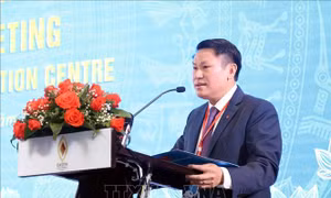 Các nước tiểu vùng sông Mekong hợp tác ngăn chặn tội phạm ma túy
