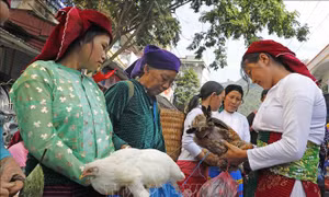 Độc đáo văn hóa chợ phiên Mèo Vạc