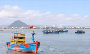 Khánh Hòa hướng tới mục tiêu sớm gỡ 'thẻ vàng' EC