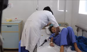 Ăn sáng trước cổng trường tại Nha Trang: Một học sinh tử vong, 37 em nhập viện 