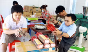 Nghiên cứu mới về tác động của chất độc da cam đối với não