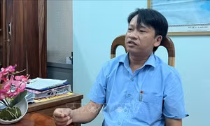 Cách chức Phó Bí thư Đảng ủy xã vì giả chữ ký để nhận tiền trồng rừng