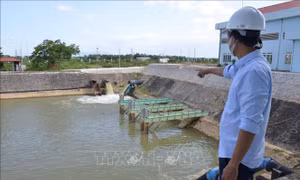 Đà Nẵng: Đảm bảo cấp nước khi sông Cẩm Lệ bị nhiễm mặn