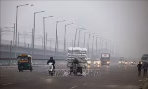 Vùng thủ đô Dehli đề xuất làm việc tại nhà để giảm ô nhiễm không khí