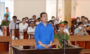 Xét xử 'đại gia cát' Ngô Phú Cường về hành vi trốn thuế và rửa tiền