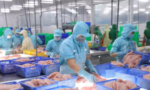 Thúc đẩy giao thương nông, thủy sản giữa Việt Nam - Trung Quốc