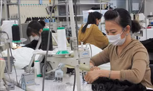 Nhật Bản có thể thiết lập chương trình mới tiếp nhận thực tập sinh nước ngoài
