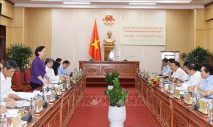 Quảng Ngãi cần có bước đột phá phát triển vùng miền núi