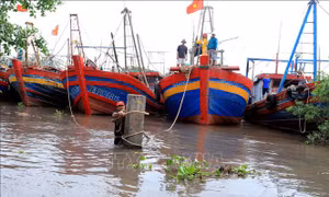Thái Bình ứng phó với áp thấp nhiệt đới có khả năng mạnh lên thành bão