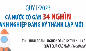 Quý I/2023, cả nước có gần 34.000 doanh nghiệp đăng ký thành lập mới